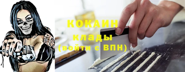 шишки Горнозаводск