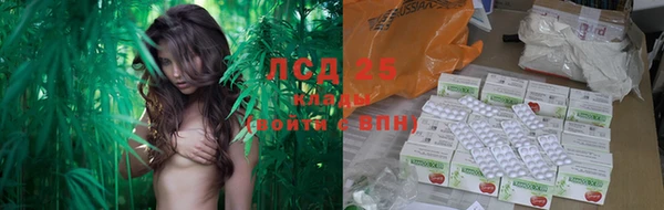 мдпв Горняк