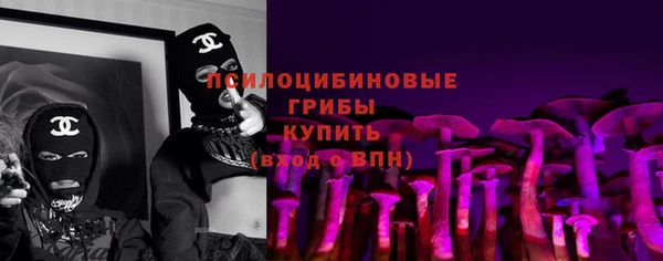 мдпв Горняк