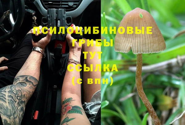 эйфоретик Горно-Алтайск