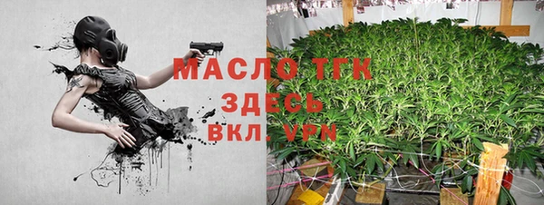 шишки Горнозаводск