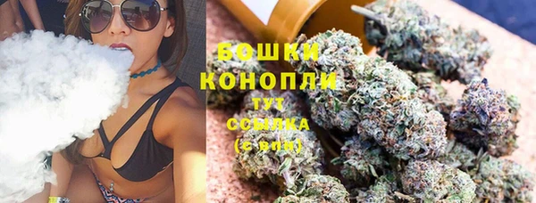 шишки Горнозаводск