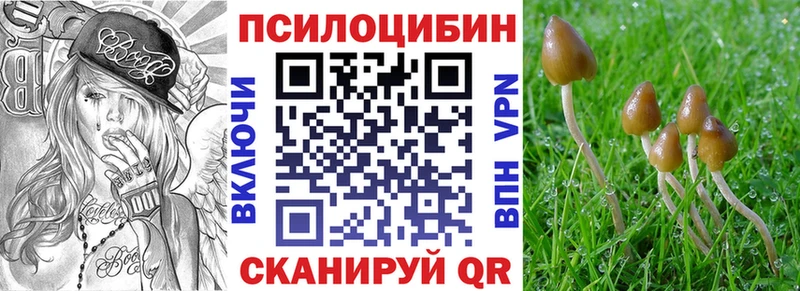 Псилоцибиновые грибы прущие грибы  Зеленокумск 